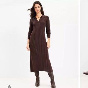 Ann Taylor Loft Ribbed Polo Midi Dress in Brown (iced espresso) size L